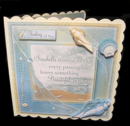 Seashells Remind Us... by Carolyn Norris