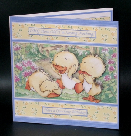 OMG HOW OLD Humorous Ducklings Various Occasions Decoupage Kit by Carolyn Norris