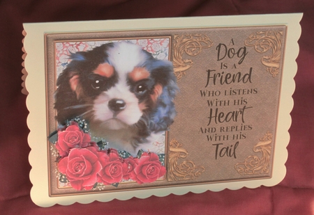 A dog is a friend who listens 2 by Carolyn Norris