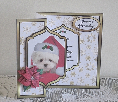 FB Christmas Puppy by Carolyn Norris