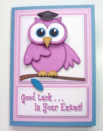 A5 Wise Owl Good Luck Exam Felties Quick Card 3D Decoupage by Carolyn Norris