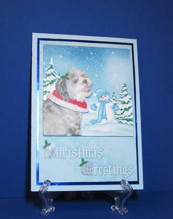 Christmas Shichon Dog in the Snow Card Front and Topper by Carolyn Norris