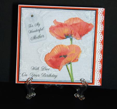 Poppy Duo on Grey Mother Birthday 8x8 Inch Step by Step by Carolyn Norris
