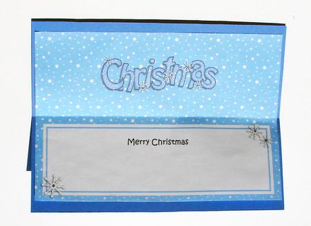 Xmas Merry Christmas Matching Large Dl Insert by Carolyn Norris