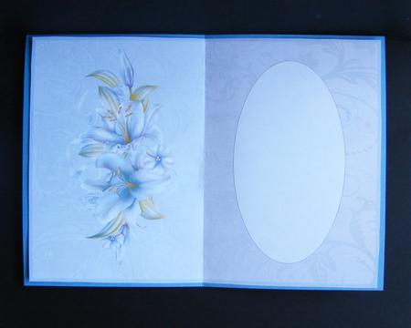 Lily Insert by Carolyn Norris
