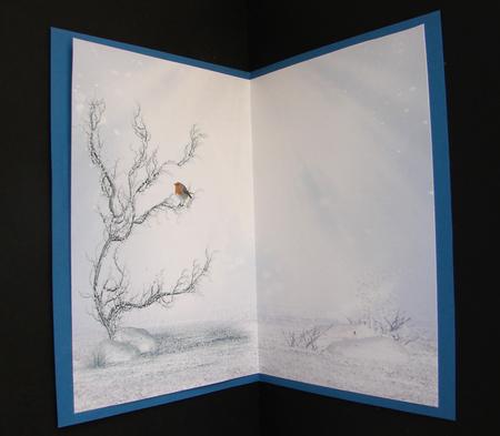 Christmas Robin with Silver Frame - Insert by Carolyn Norris