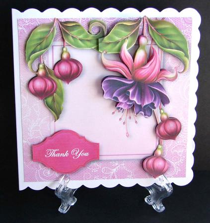Gorgeous Fuchsias Lacey Square by Carolyn Norris