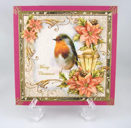 Robin's Christmas by Carolyn Norris