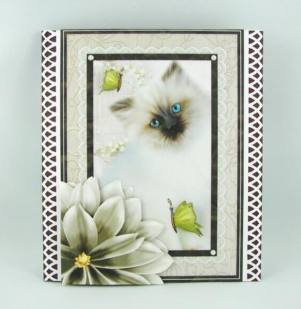 Sweet Kitten Birthday Decoupage Mini Kit by Carolyn Norris