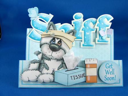 Words & Pictures Stepper Mini-kit - Sniff! Get Well Soon! by Carolyn Norris