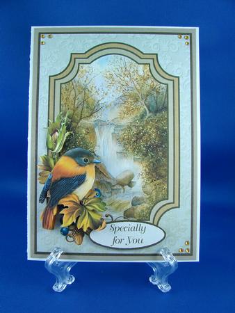 Wild Bird & Waterfall Scene by Carolyn Norris