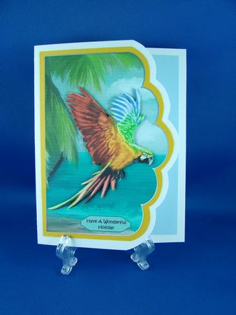 Macaw Parrot Scalloped Edge Card by Carolyn Norris
