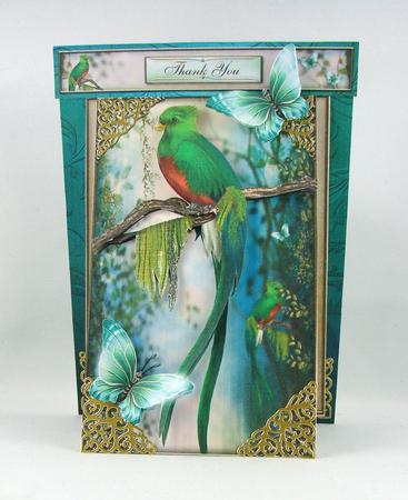3 in 1 the Woodland Perch by Carolyn Norris