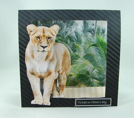 Lion Out of the Frame by Carolyn Norris