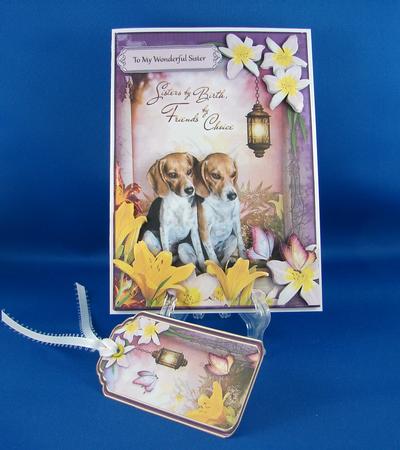 Sisters by Birth, Friends by Choice 2 by Carolyn Norris