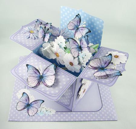 3D Flowers & Butterflies Rubber Band Pop Up Box Card by Carolyn Norris