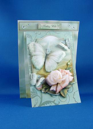 3 in 1 the Butterfly Meadow by Carolyn Norris