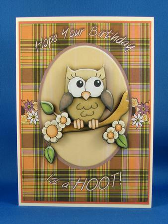 Ollie Owl A4 Card by Carolyn Norris