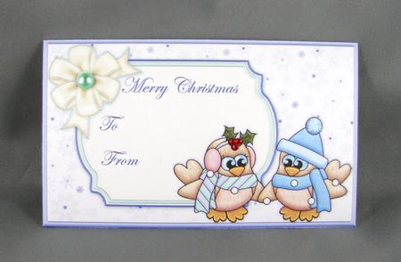 Robin Couple Christmas Money Wallet Envelope by Carolyn Norris