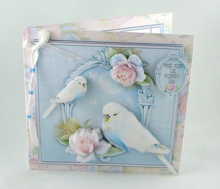 Feathered Friends by Carolyn Norris