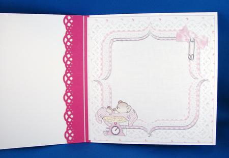 8x8 Cute New Baby Girl Weighs in Mini Kit Insert by Carolyn Norris