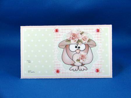 Mother Owl Money Wallet by Carolyn Norris