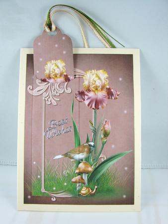 Pretty Iris Bookmark Quick Card by Carolyn Norris