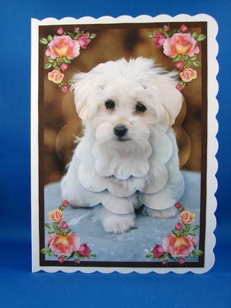 Cute Puppy Scalloped Pyramid by Carolyn Norris