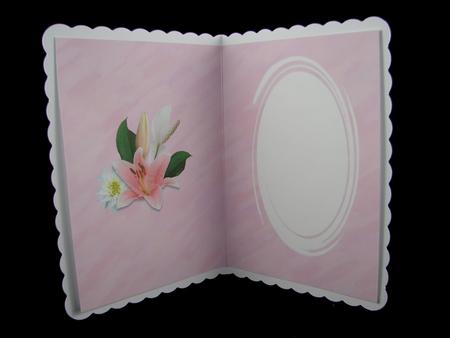 Lily and Daisy Insert by Carolyn Norris