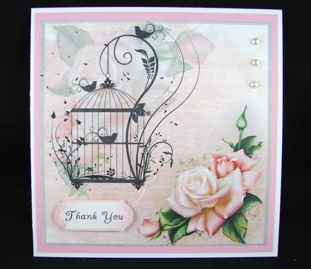Gorgeous Pink Rose & Birdcage Silhouette by Carolyn Norris