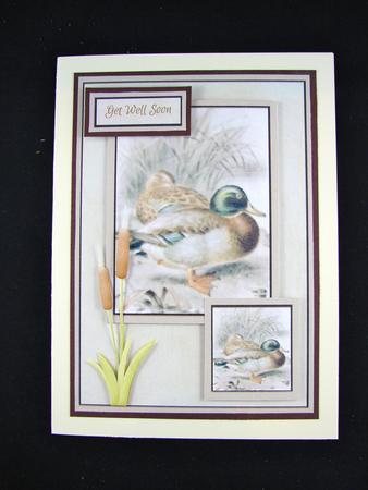 Get Well Card with Mallards by Carolyn Norris