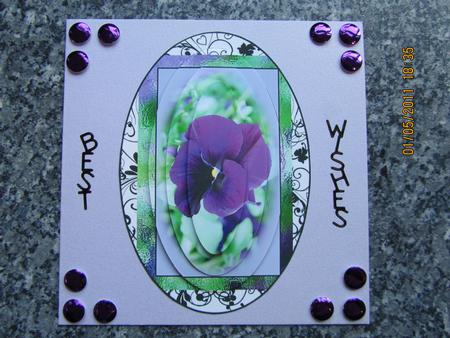 Pansys for a Friend Happy Birthday Thank You with Sympathy Thinking of You by Carolyn Scattergood