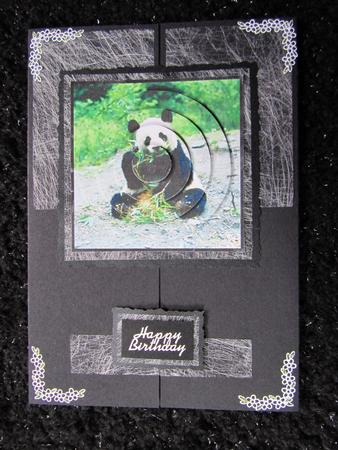 Panda by Carolyn Scattergood