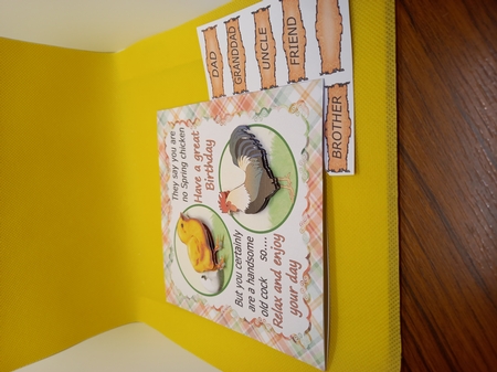 YOURE NO SPRING CHICKEN by Carolynne Barratt