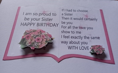 PROUD TO BE YOUR SISTER by Carolynne Barratt