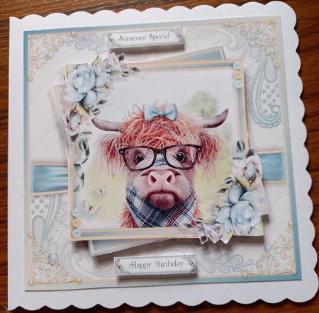 Happy Birthday To Moo! by Carolynne Barratt