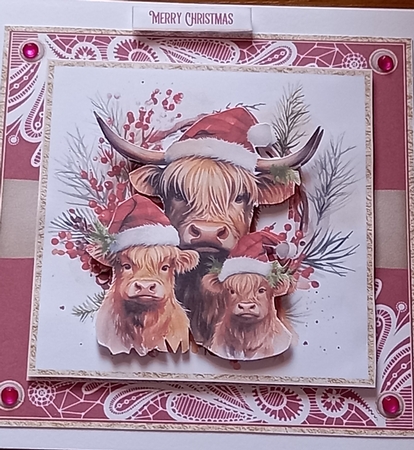 Christmas Highland cow 7x7ins Topper kit 1 with lace edging by Carolynne Barratt