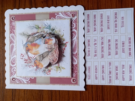 Vintage Christmas Robin 7x7ins Topper kit 4 with lace edging by Carolynne Barratt
