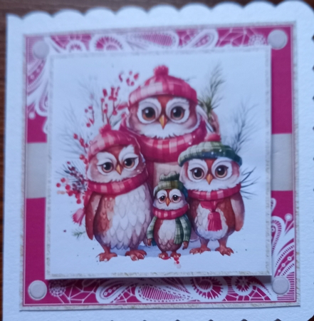 Vintage Christmas Owl Family 7x7ins Topper kit 15 with lace edging by Carolynne Barratt