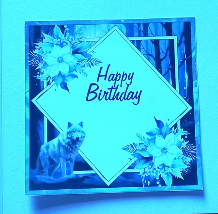 Winter Wolf Insert Happy Birthday by Carolynne Barratt