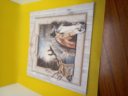 horse and deer by Carolynne Barratt