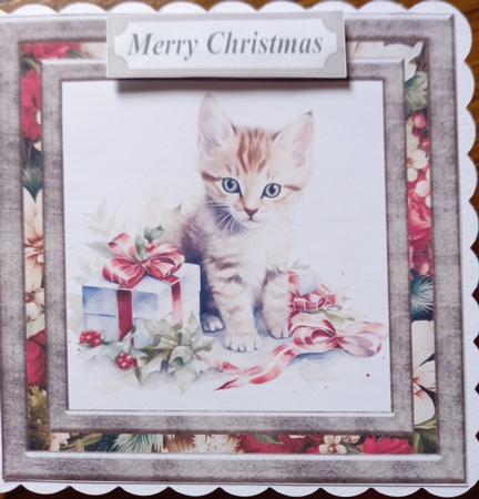 Cute Christmas kitten card front 1 by Carolynne Barratt