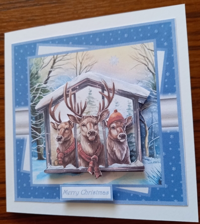  Christmas reindeer and stag 7x7 by Carolynne Barratt