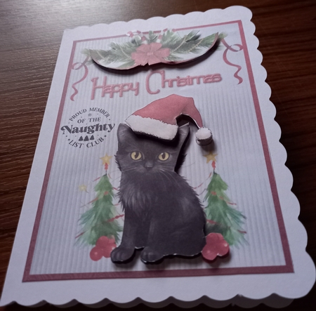 Naughty List Club Bumper Kit 41 - 9 sheets, Card fronts, decoupage, inserts, and greeting boxes  by Carolynne Barratt