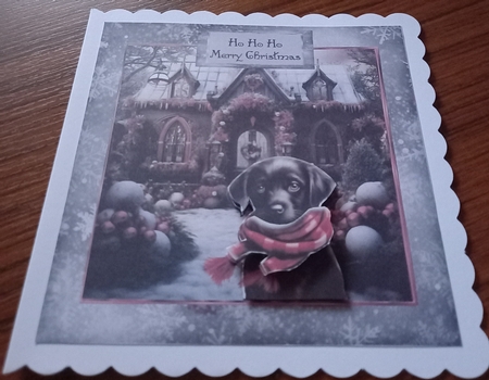 A lovely Christmas design 2 by Carolynne Barratt