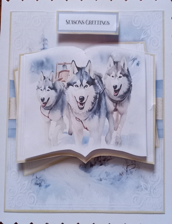 Lapland No.1 by Carolynne Barratt