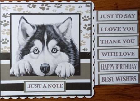 JUST A NOTE - ALASKAN MALAMUTE by Carolynne Barratt