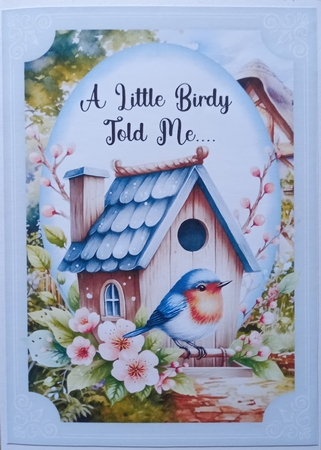 2 A little birdy told me ..... card fronts 6 by Carolynne Barratt