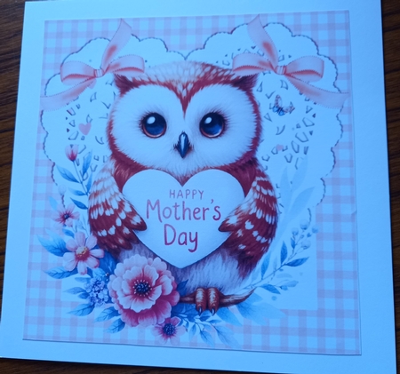 Gingham & Lace Hearts Cute Owl With Pink Bows for MOTHERS DAY 8x8 by Carolynne Barratt