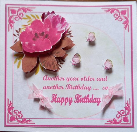 ANOTHER YEAR OLDER  S0 HB by Carolynne Barratt